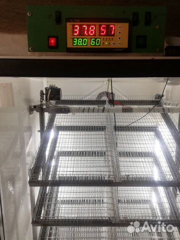 Инкубатор на 700 яиц купить на Зозу.ру - фотография № 3
