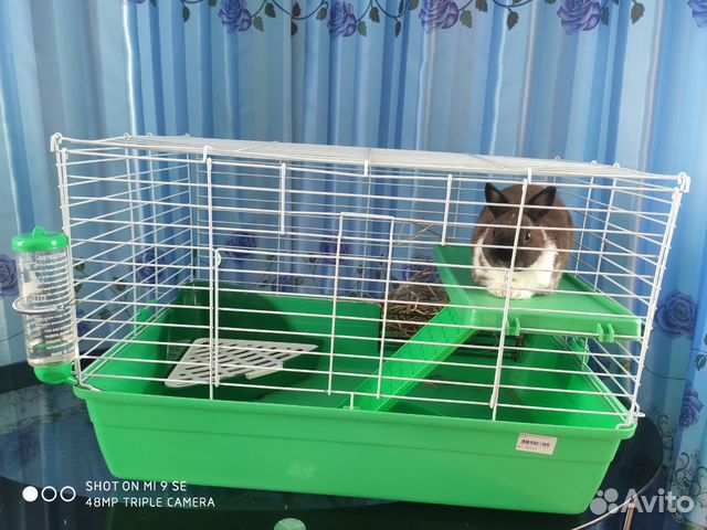 Декоративный кролик с клеткой купить на Зозу.ру - фотография № 2