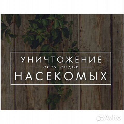 Уничтожение клопов и тараканов Уничтожение клопов и тараканов