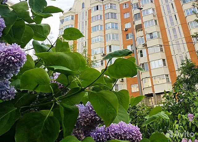 Студия, 20 м², 1/10 эт.