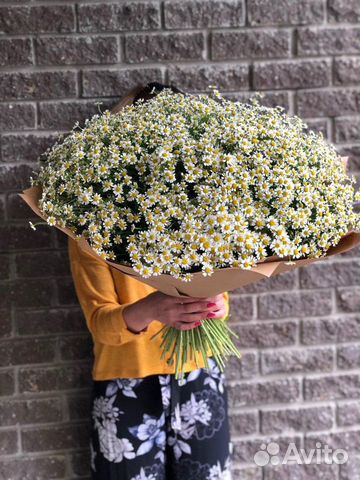 Букет ромашек доставка цветов