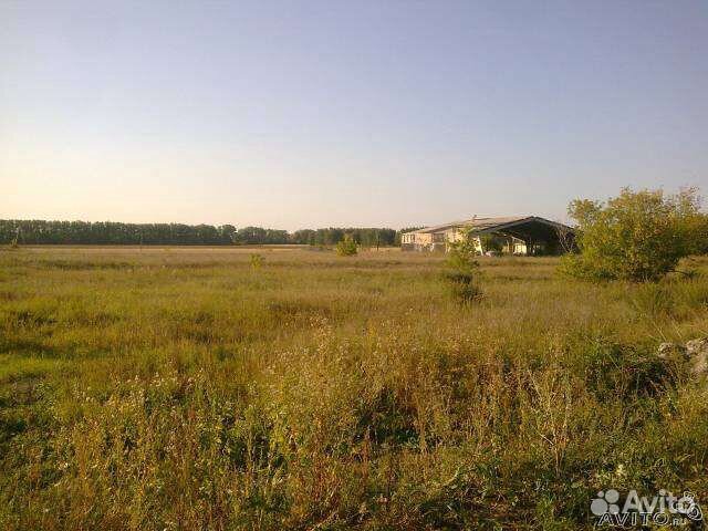 Село Топчиха Алтайский Край Купить Дом