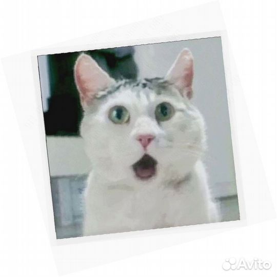 Фасовщик на склад Еженедельный аванс