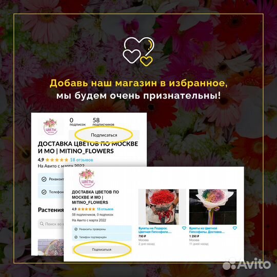 101 Роза цветы 201 101 51 Роза. Свежие Розы