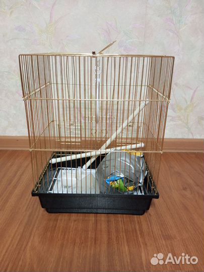 Клетка для птиц