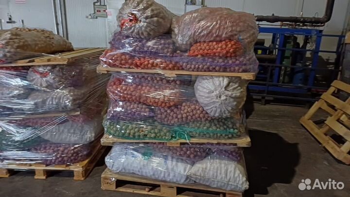 Грецкий орех