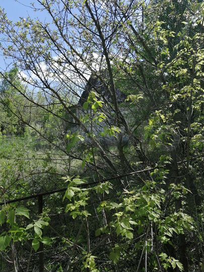 Дача 15 м² на участке 7 сот.