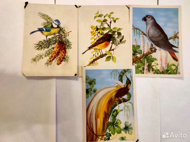 Старинные немецкие открытки