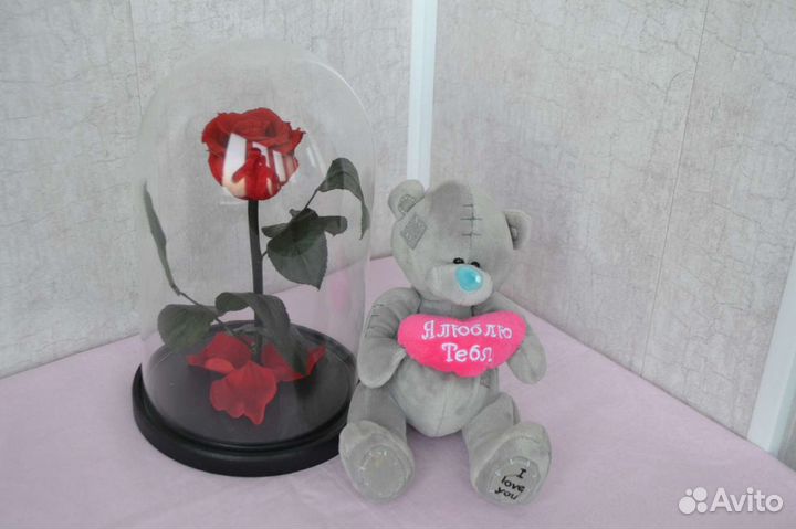 Живая роза в колбе