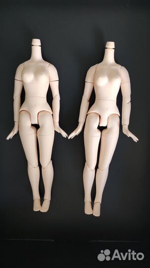 Тела для кукол Азон блайз