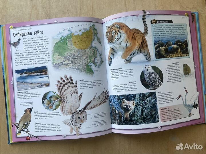 Атлас животного мира