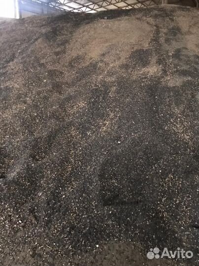 Семечки подсолнечника