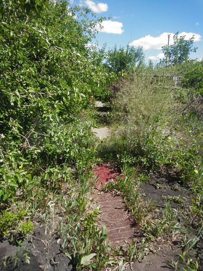 Дача 40 м² на участке 6 сот.