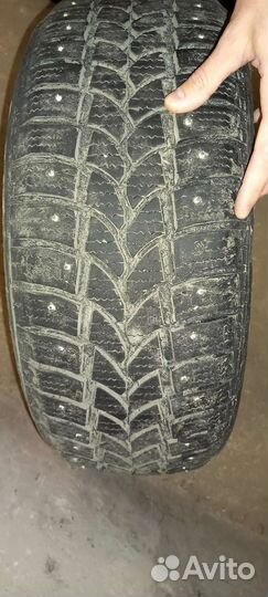 Kormoran Stud 205/55 R16 98M