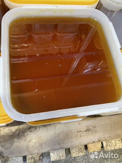 Свежий цветочный мёд, качка 2023 год опт