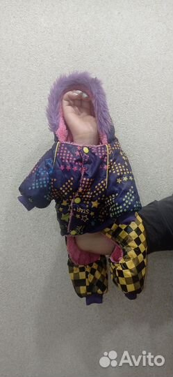 Одежда для собак