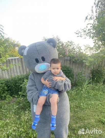 Аниматор Мишка Тедди