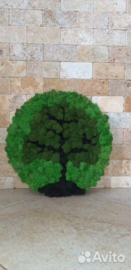 Мох стабилизированный ягель