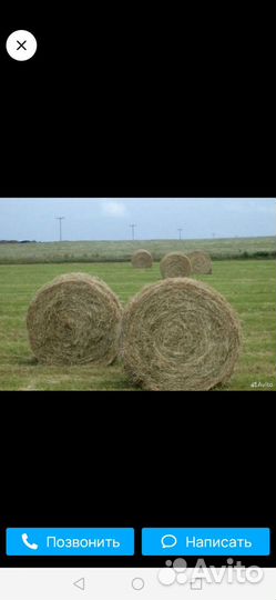 Сено в тюках