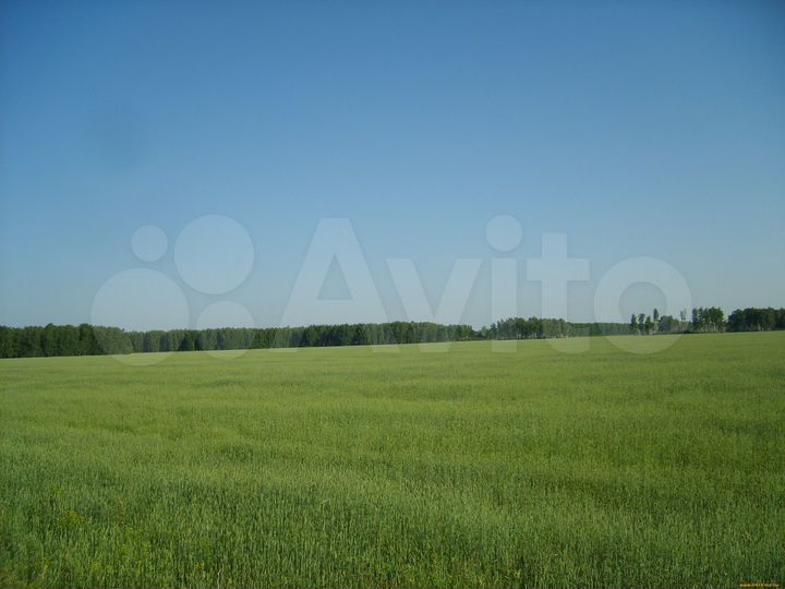 Участок 21,75 га (СНТ, ДНП)