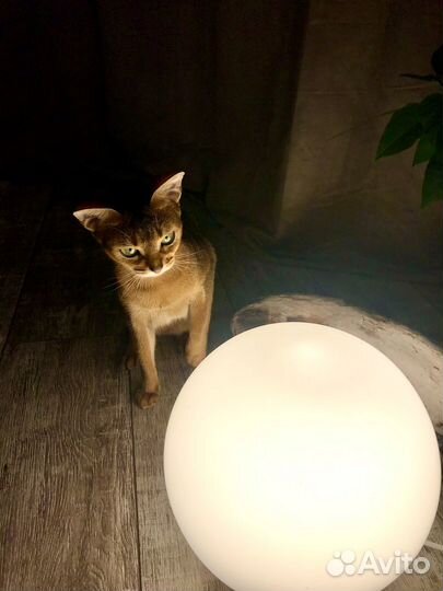 Светильник шар