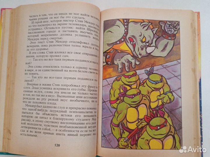 Черепашки-ниндзя против разрушителя