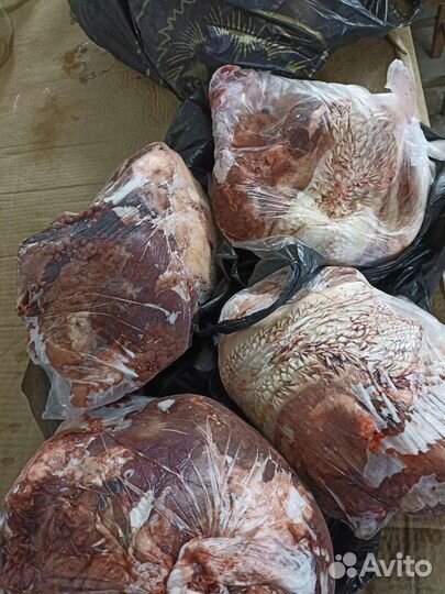 Обрезь говяжья