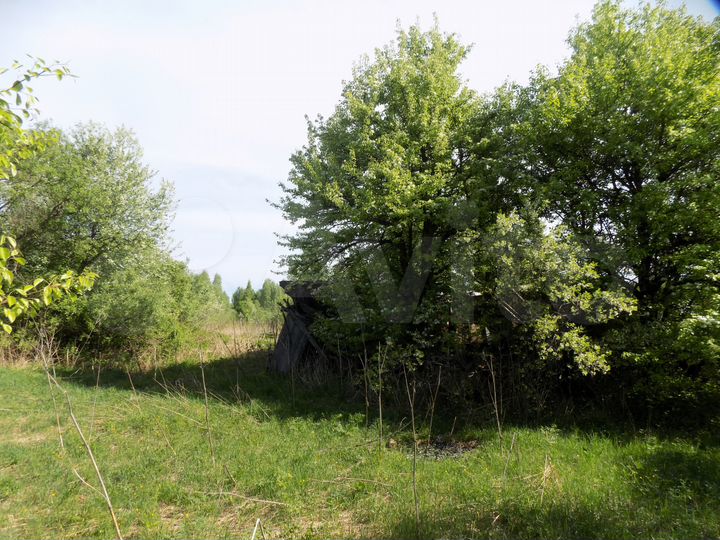 Участок 31 сот. (ИЖС)