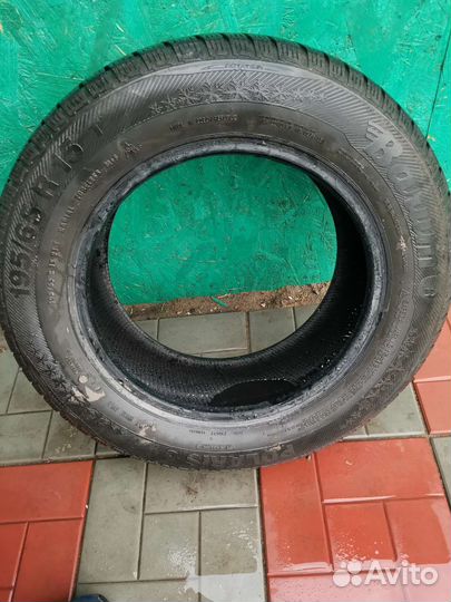 Barum Polaris 3 15/5 R15