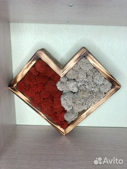 Картины из стабилизированного мха