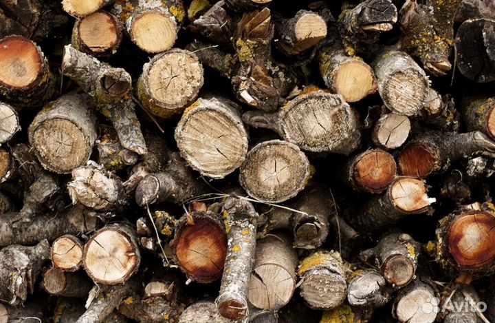 Дрова от производителя