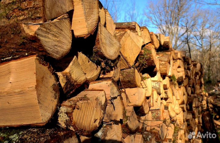 Дрова самовывоз