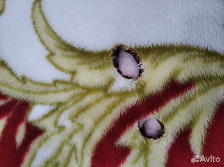 Большой теплый плед