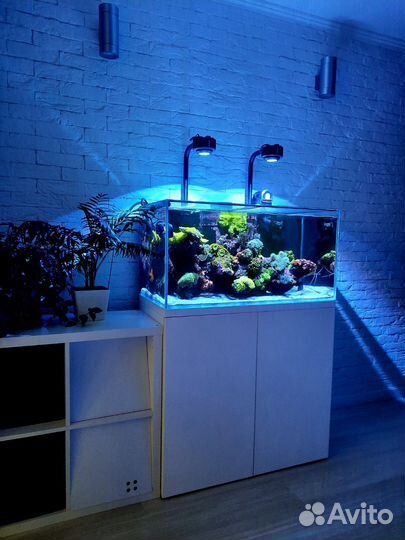 Аквариум 200 литров
