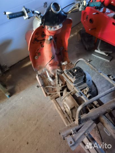 Продаю муравей