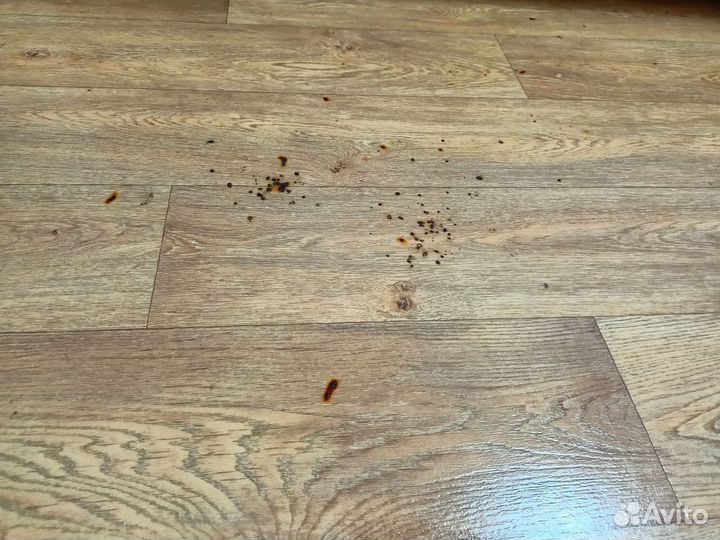 Линолеум бу