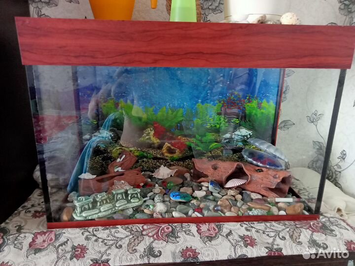 Аквариум