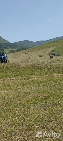 Сено в рулонах