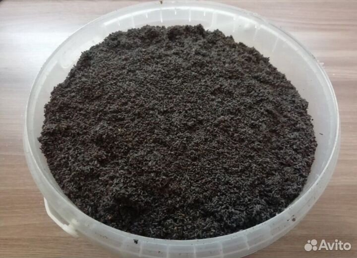 Пжвм, пжлвм, огневка, восковая моль