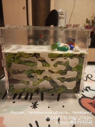 Игрушки Ферма животные