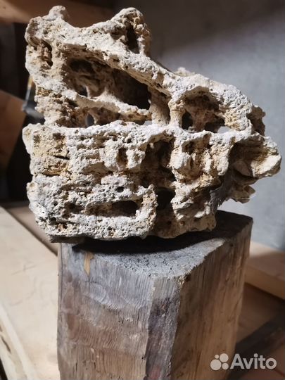 Продам известняковый камень