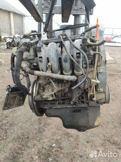 Двигатель volkswagen polo 4 (2001 - 2009) 1.4 bky