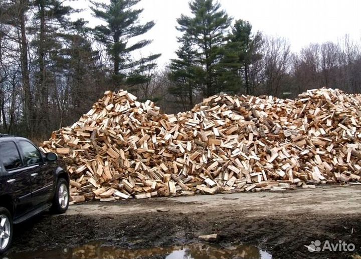 Дрова в СПБ