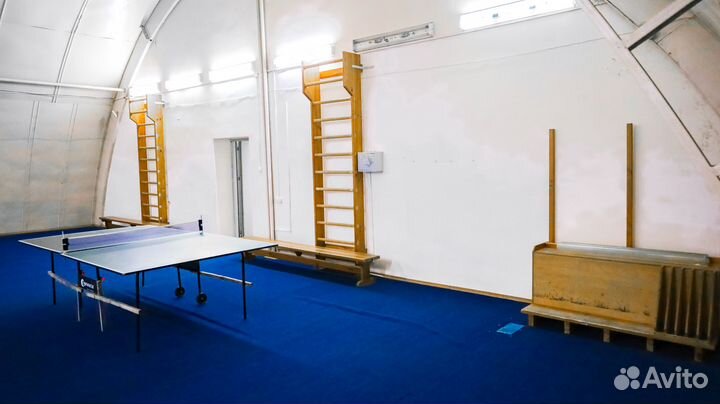 Аренда настольный теннис в Тюмени