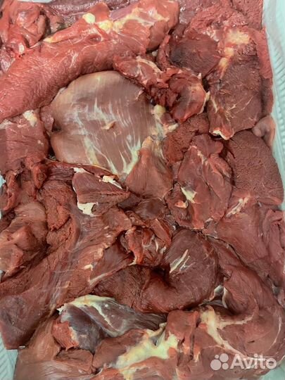Мясо говядина