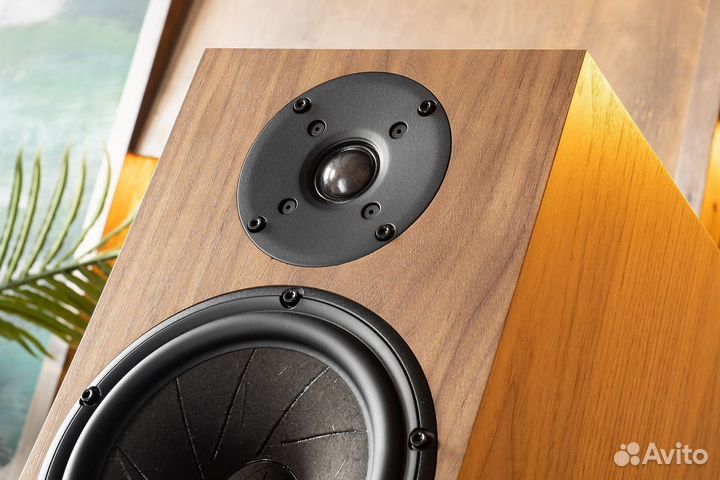 Активная акустика pylon audio Jasper Monitor 18