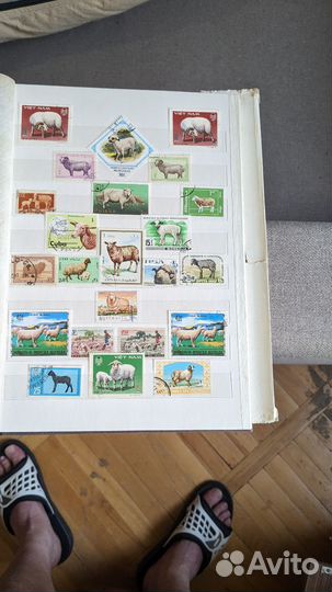 Альбом с марками. Животные