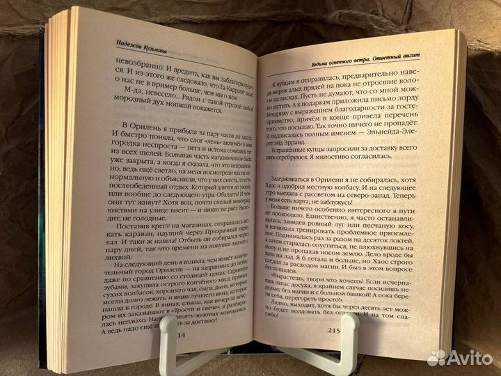 Ведьма огненного ветра. Ответный визит. Кузьмина Н