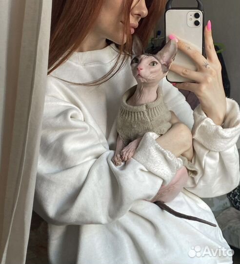 Передержка животных