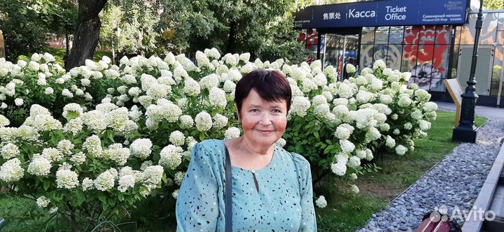 Репетитор по физике огэ егэ онлайн